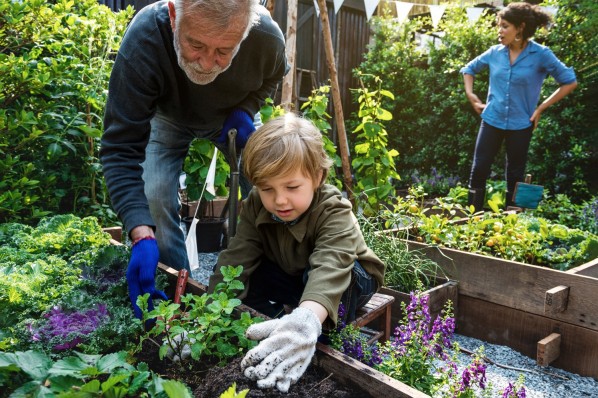 Ein blonder, etwa 6-jähriger Junge mit hilft seinem Vater bei der Gartenarbeit an einem Kräuterbeet. Im Hintergrund begutachtet eine Frau mit einem blauen Hemd den grünen Garten.