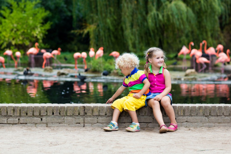 2 Kinder im Zoo