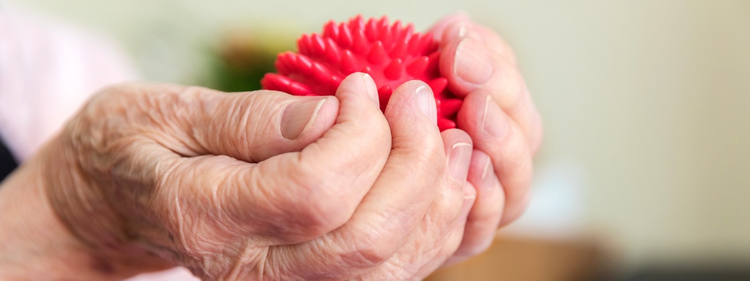 Nahaufnahme der Hände einer Seniorin, die einen roten Igelball halten.