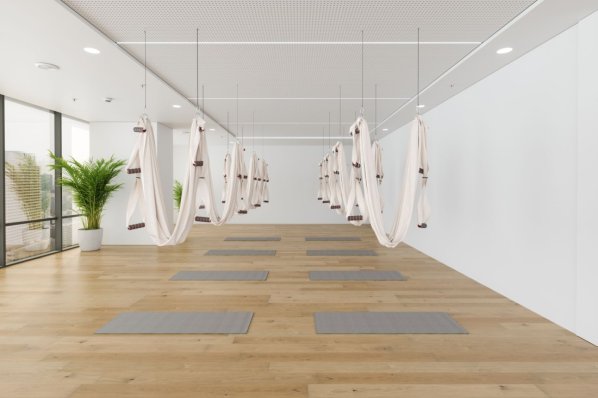 Blick in ein Aerial-Yoga Studio mit Hängematten, Yogamatten und Topfpflanze. 