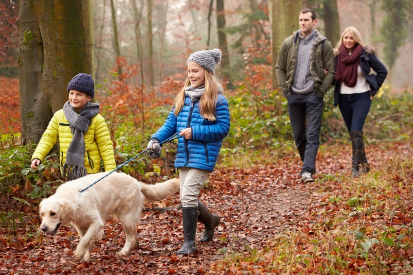 Familie mit Mädchen und Jungen gehen mit einen Hund im Herstwald spazieren.