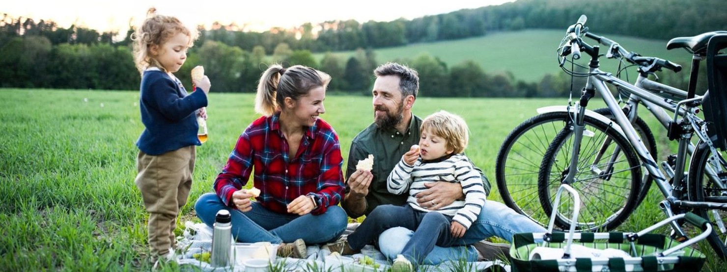 Eine vierköpfige Familie hat eine Radtour in Sachsen-Anhalt gemacht und macht jetzt Rast auf einer Wiese.